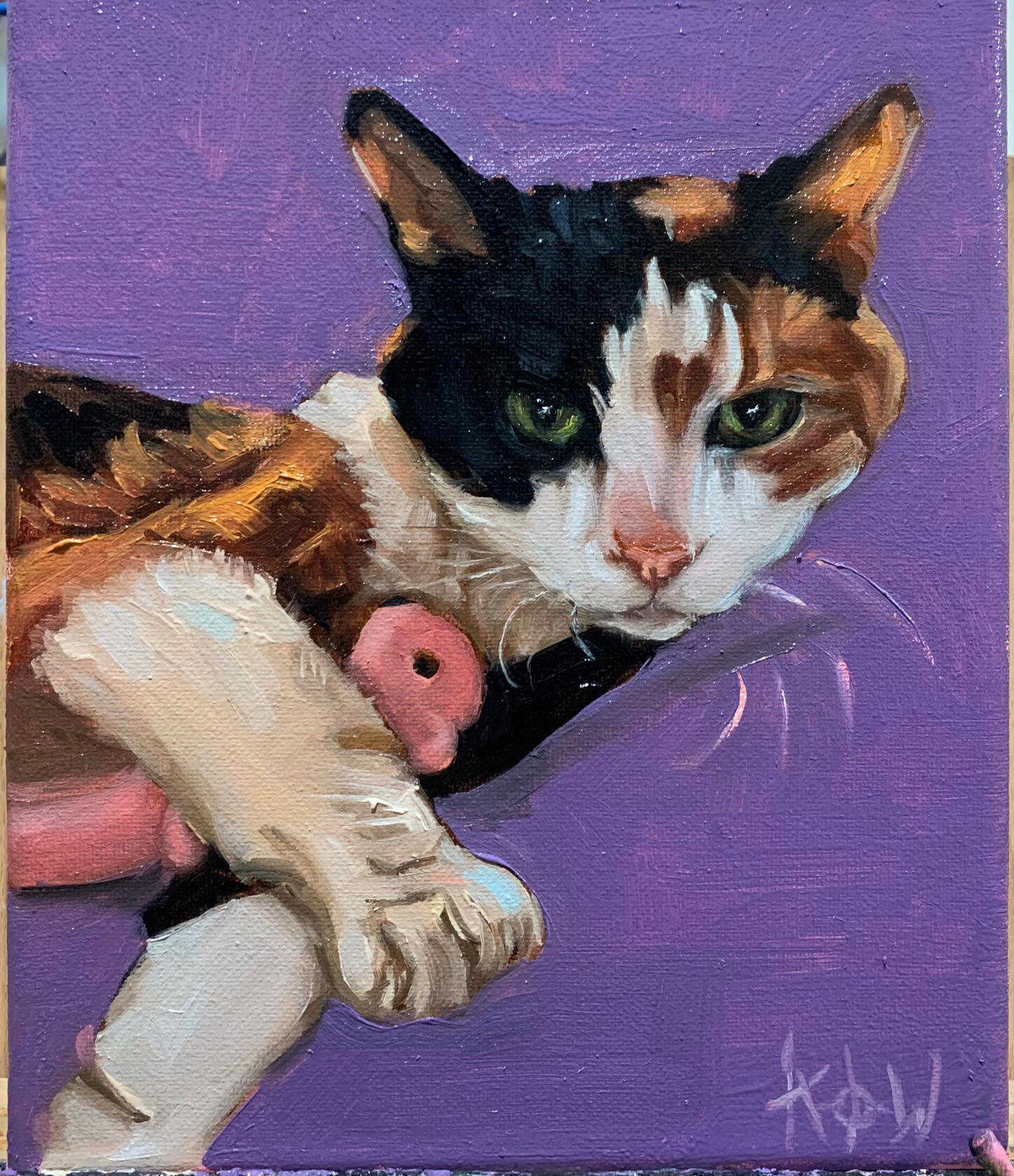Lucie the cat