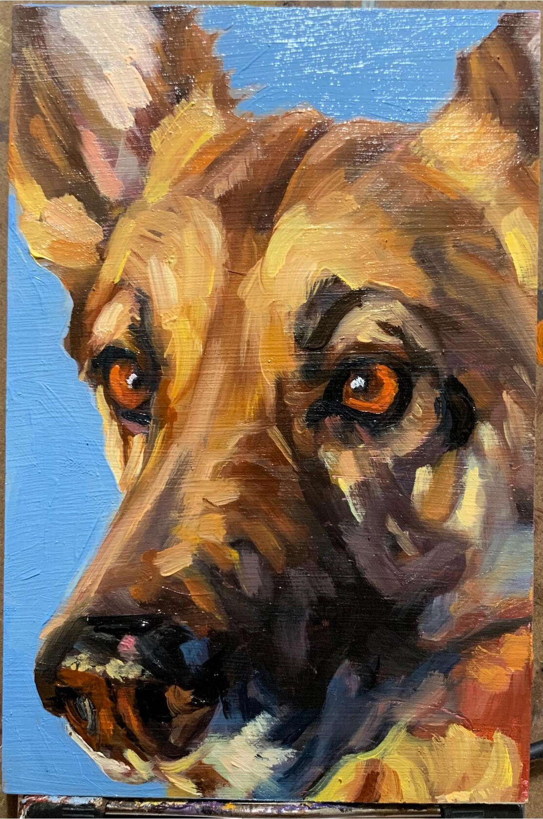 4x6 wood panel