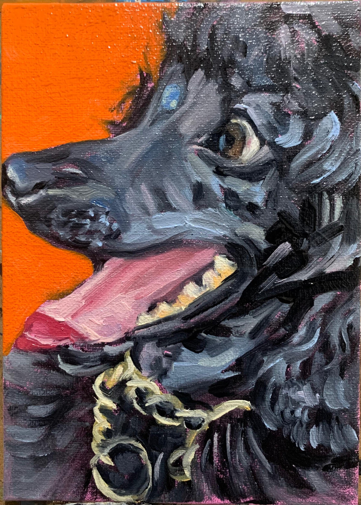 5x7