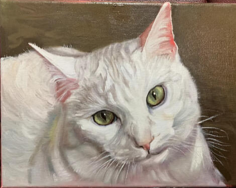 9x12 pet portraits are $425 + shipping.