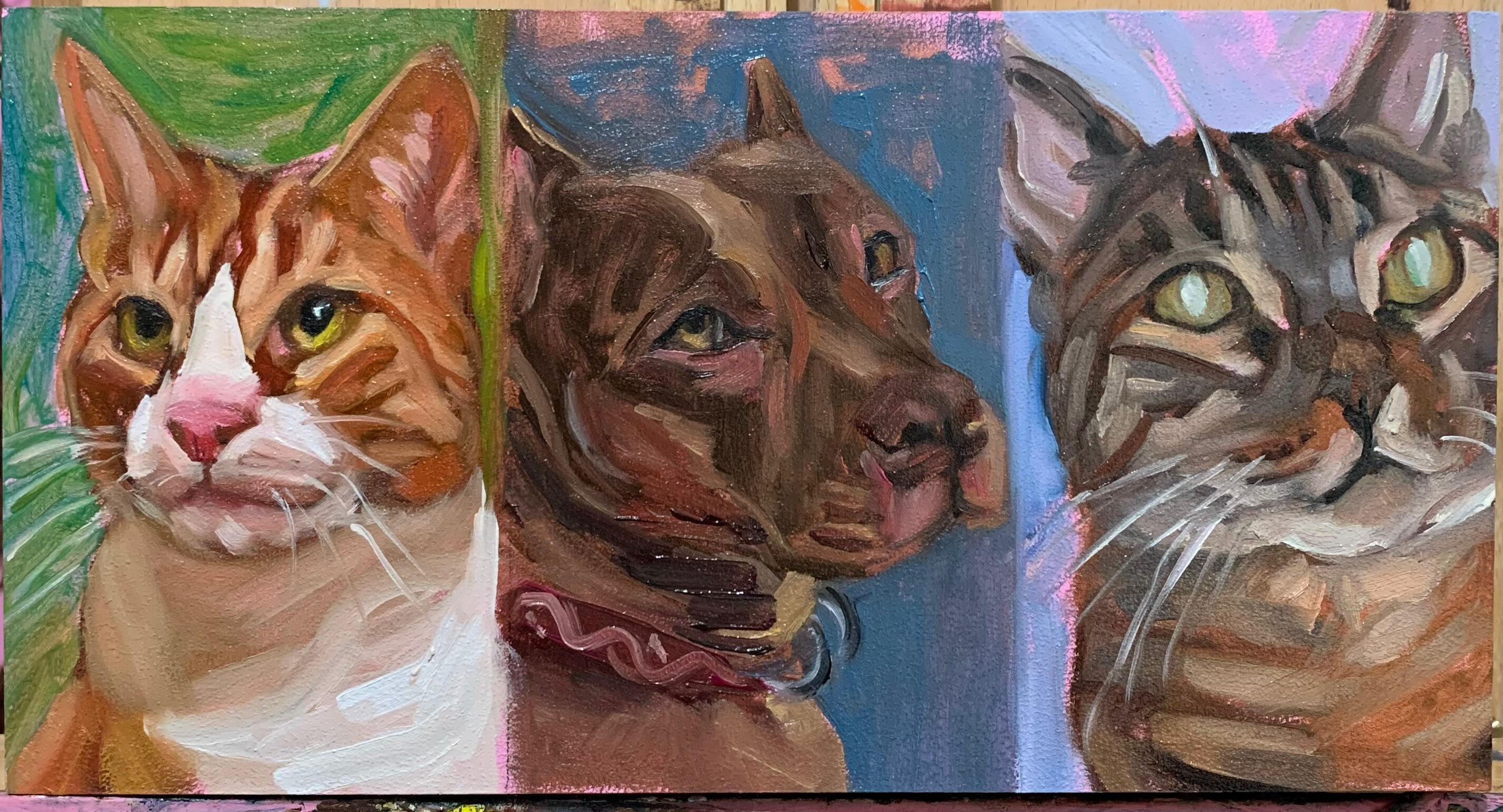 12x6, each portrait is 4x6, Pet panel 2